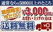 送料無料